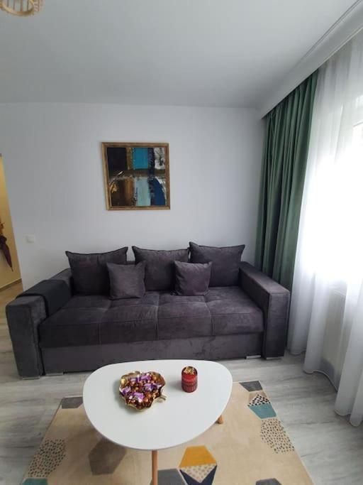 Apartament Ama Sibiu Luaran gambar