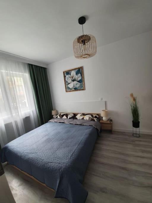 Apartament Ama Sibiu Luaran gambar