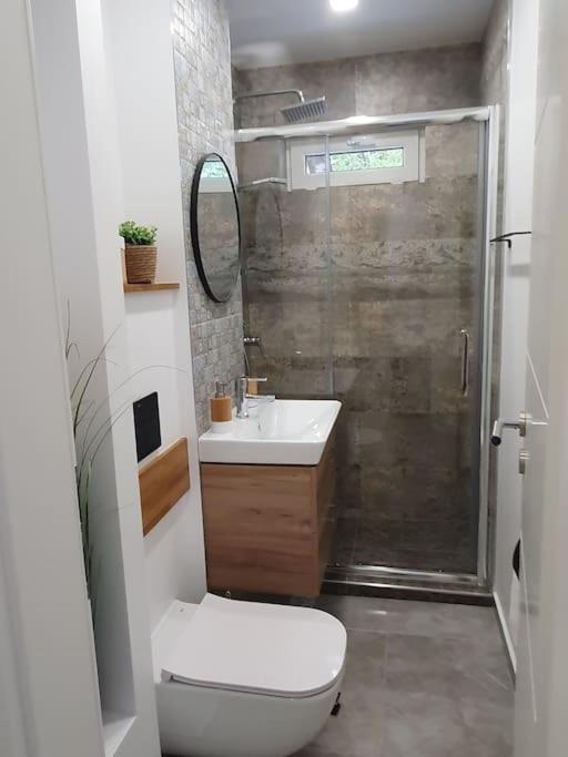 Apartament Ama Sibiu Luaran gambar