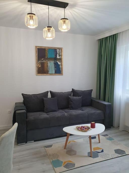 Apartament Ama Sibiu Luaran gambar