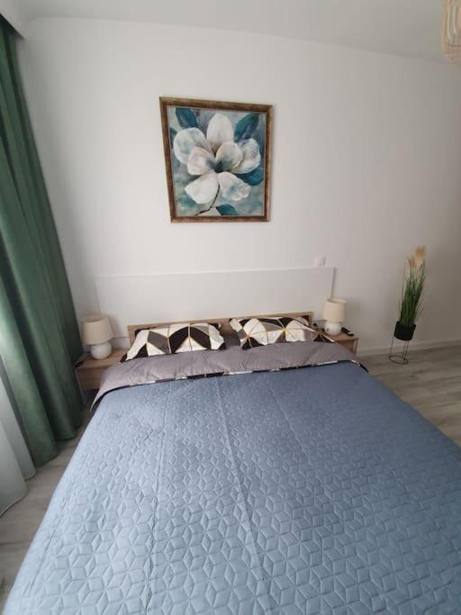 Apartament Ama Sibiu Luaran gambar